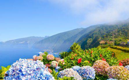 Ankomst till Madeira image