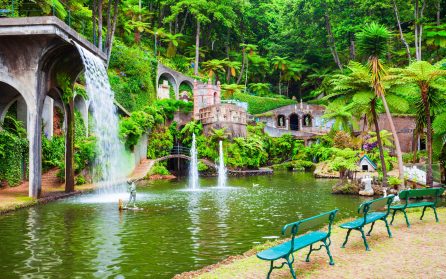 Ledig dag eller extrautflykt till Monte och Monte Palace Tropical Garden image
