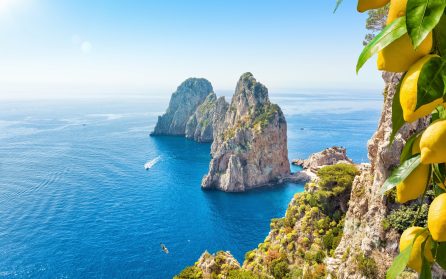 Ledig dag eller extrautflykt till Capri image