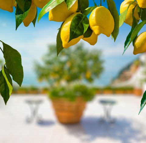 Reseledare hero background image