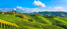 Vin och gastronomi i Piemonte thumbnail