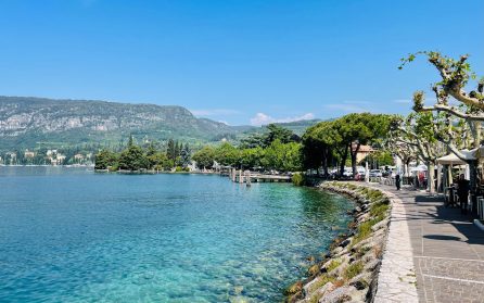 Marknad i Garda image