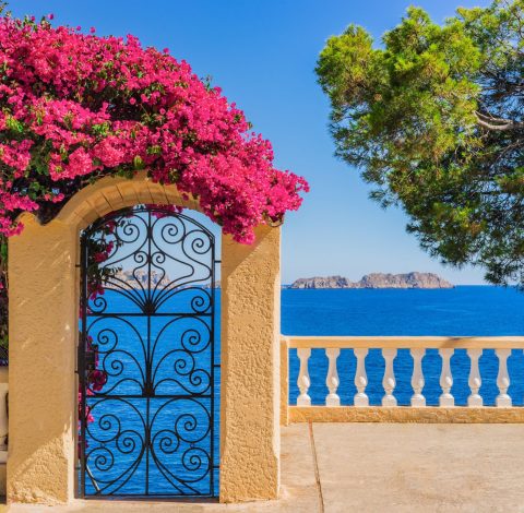 Färdledare hero background image