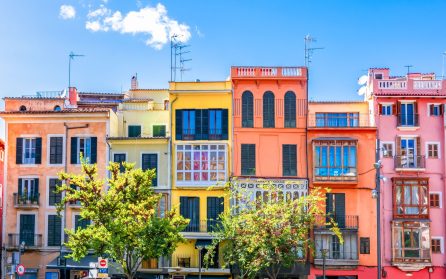 Ankomst till Mallorca och transfer till hotellet image