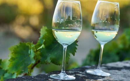 Valpolicella med vinprovning image