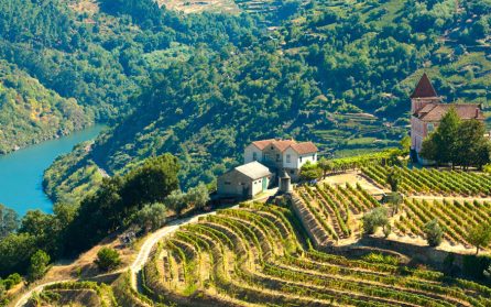 Barca d’Alva – Ferradosa – Pinhão image