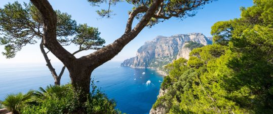 Amalfi à la carte hero image