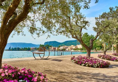 Utflykt till vinområdet Bardolino med lunch thumbnail