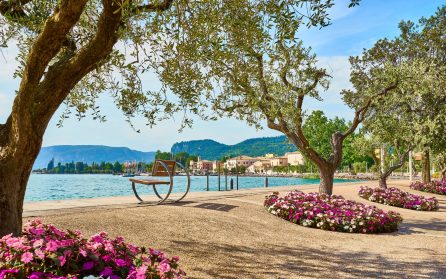 Ledig dag eller extrautflykt till vinområdet Bardolino med lunch image
