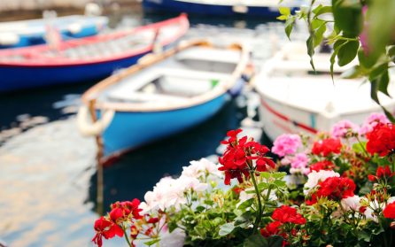 Ankomst till Milano, transfer till Garda och välkomstmiddag på hotellet* image