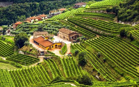 Marknad i Garda – och vinprovning i Valpolicella image
