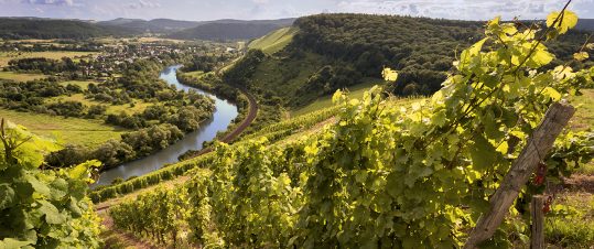 Flodkryssning på vackra Mosel & Rhen hero image