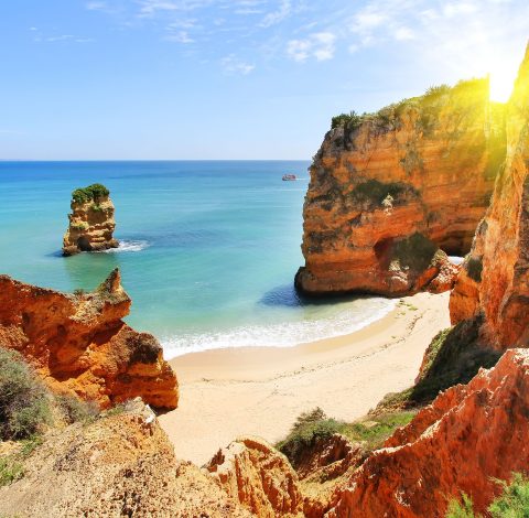 Färdledare hero background image