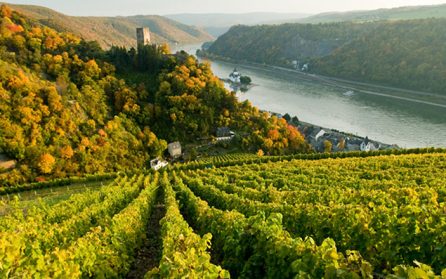Kryssning från Rüdesheim till Alken image