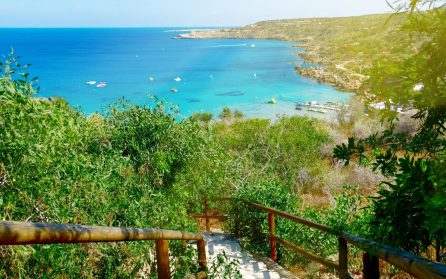 Ledig dag för egna upplevelser  image