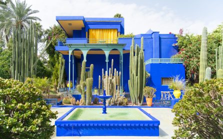 Historisk stadsvandring i Marrakech med besök på Jardin Majorelle image