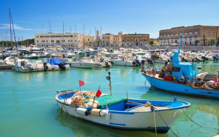 Besök i historiska Trani och transfer till Martina Franca image