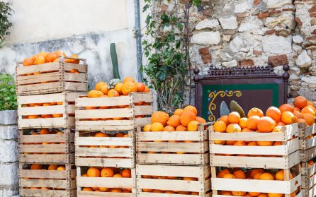 Ledig dag för egna upplevelser image