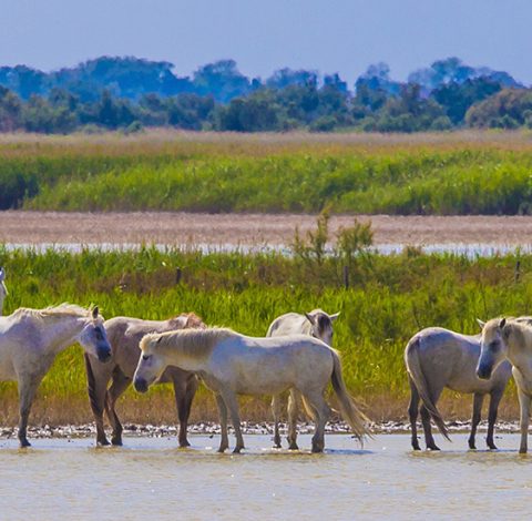 Reseledare hero background image