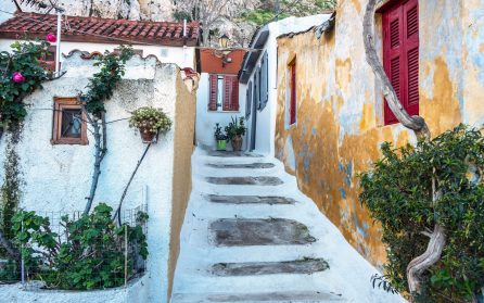 Anrika Aten på egen hand image