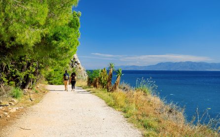 Ledig dag för egna upplevelser image