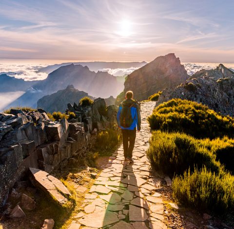 Aktiva resor hero background image