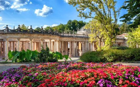 Ankomst till Florens och transfer till Montecatini Terme image