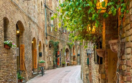 Ledig dag eller extrautflykt till San Gimignano och Volterra image