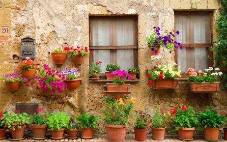 Ledig dag för egna upplevelser image