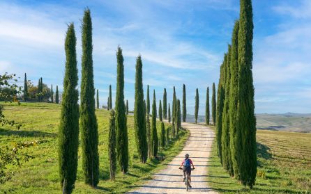 Cykeltur till medeltidsstaden Montefalco  image