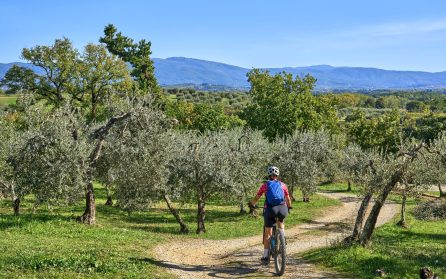 Cykeltur till Spello  image