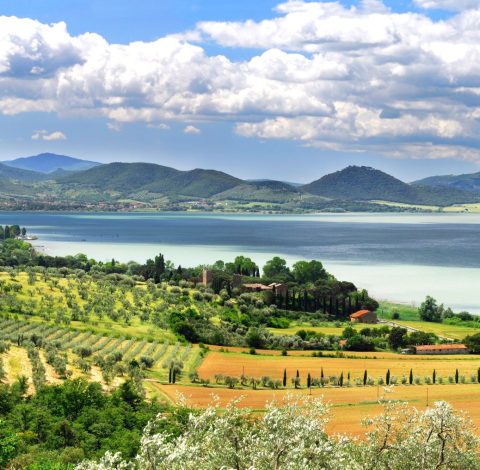 Färdledare hero background image