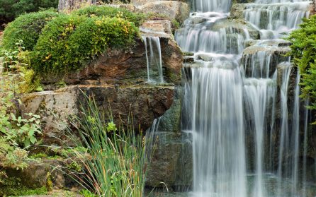 Petersham Nursery och Kew Gardens image