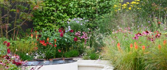 Chelsea Flower Show och engelska trädgårdar hero image