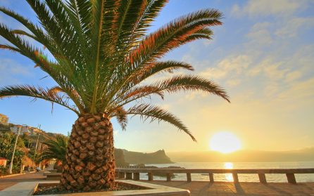 Flyg från Azorerna till Madeira image