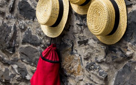 Utflykt till Monte  image