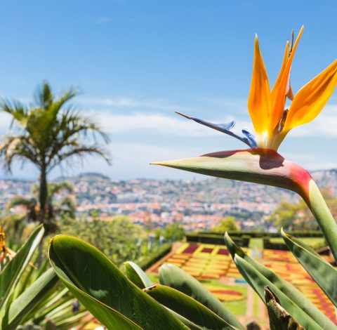 Reseledare hero background image