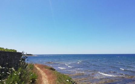 Kustvandring med picknick image