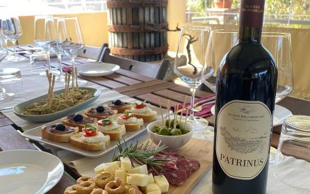 Ledig dag eller extrautflykt till vingård image