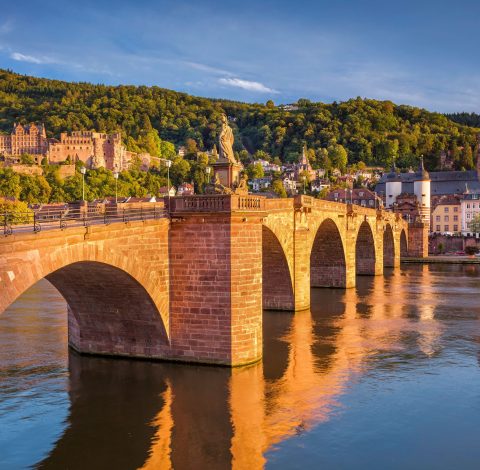 Färdledare hero background image