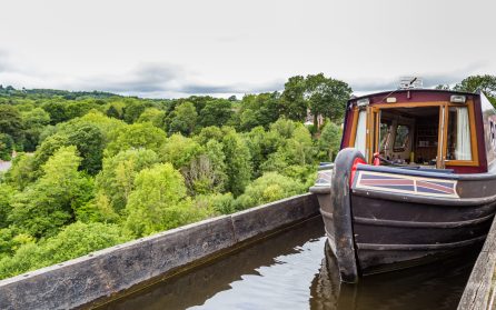 Besök på Pandy Farm o kanalbåttur över Pontcysyllteakvedukten image
