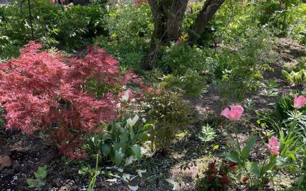 Resan till Blekinge  image