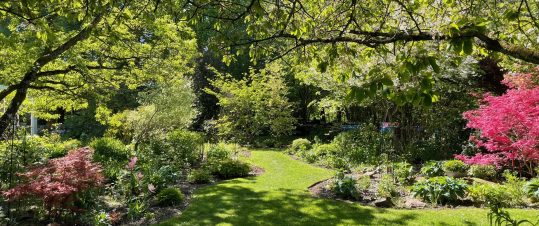 Upptäck Blekinges trädgårdar med Gunnel Carlson hero image