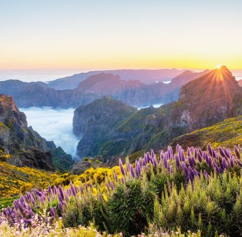 Reseledare hero background image