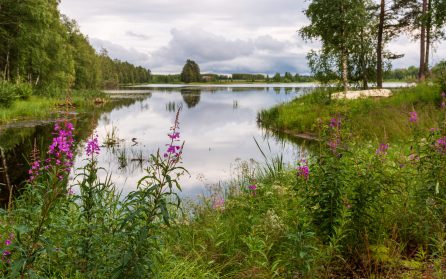 Kvarkens världsarvsskärgård image
