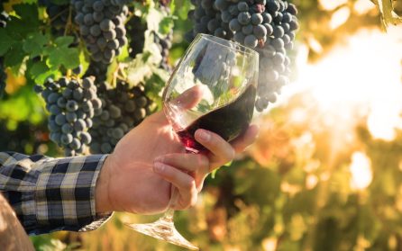 Chalon-Sur-Saône image