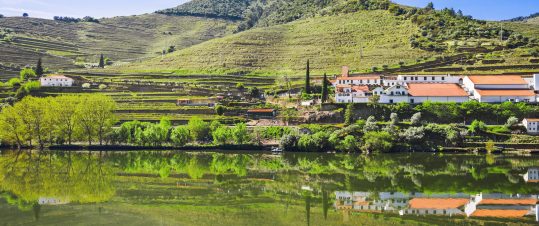 Majestätiska Porto och Dourodalen hero image