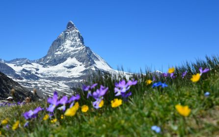 Zermatt och Matterhornjärnvägen image