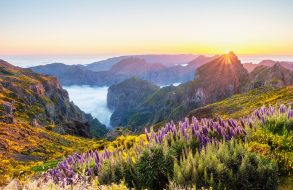 Tågresa till Sagolika Slovenien thumbnail