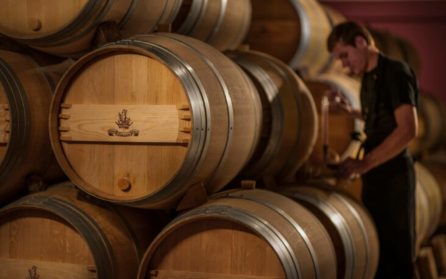 Bordeaux – Cussac-Fort-Médoc image